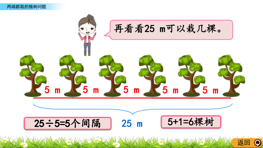 人教版五年级上册数学课件7.1 两端都栽的植树问题(共17张PPT)