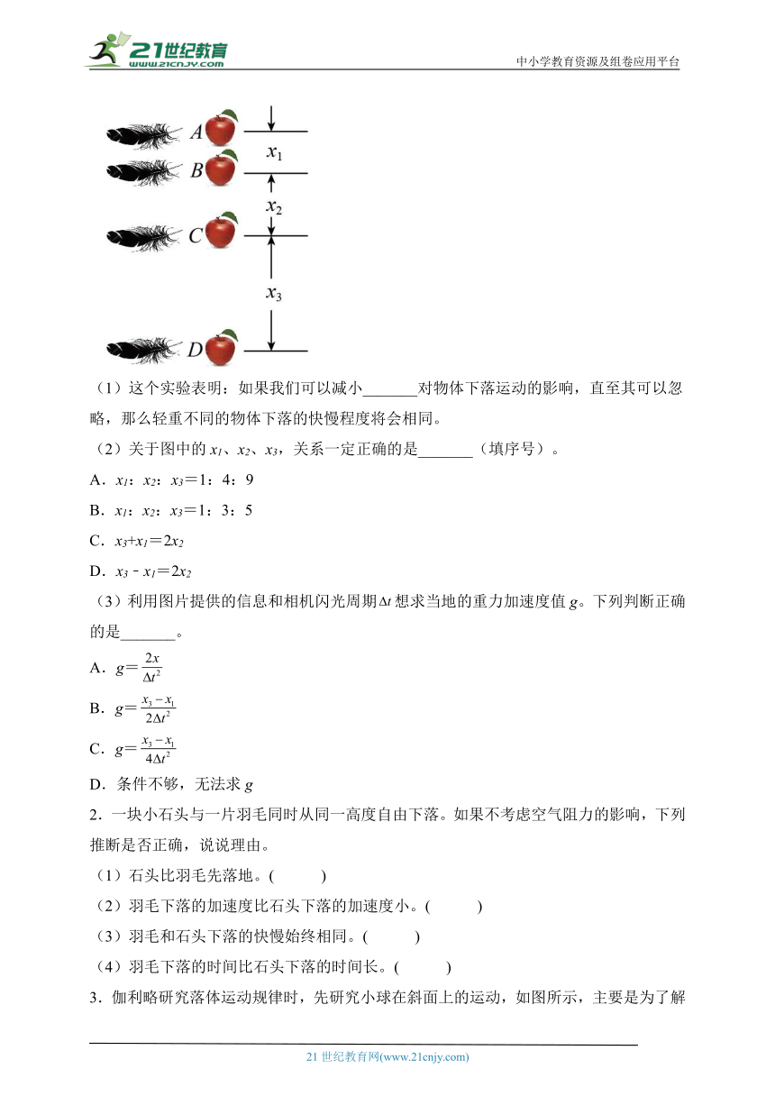 课件预览