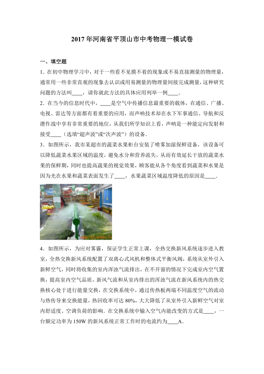 2017年河南省平顶山市中考物理一模试卷（解析版）