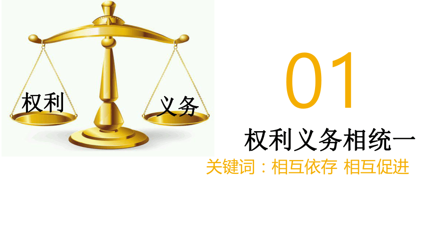 权利义务对等图片