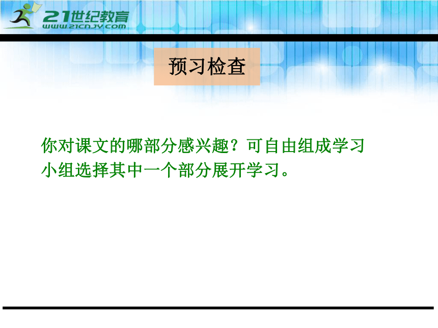 10飞檐走壁的虎将 课件