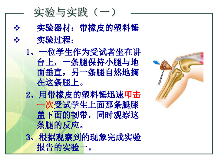 上海版八年级上册生物  2.1.3 神经调节的基本方式--反射 课件(18张PPT)