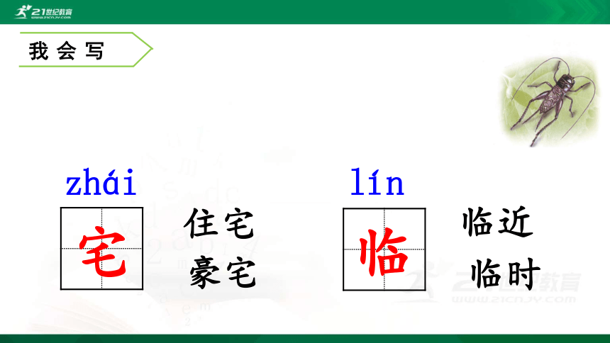 11  蟋蟀的住宅 课件第1课时