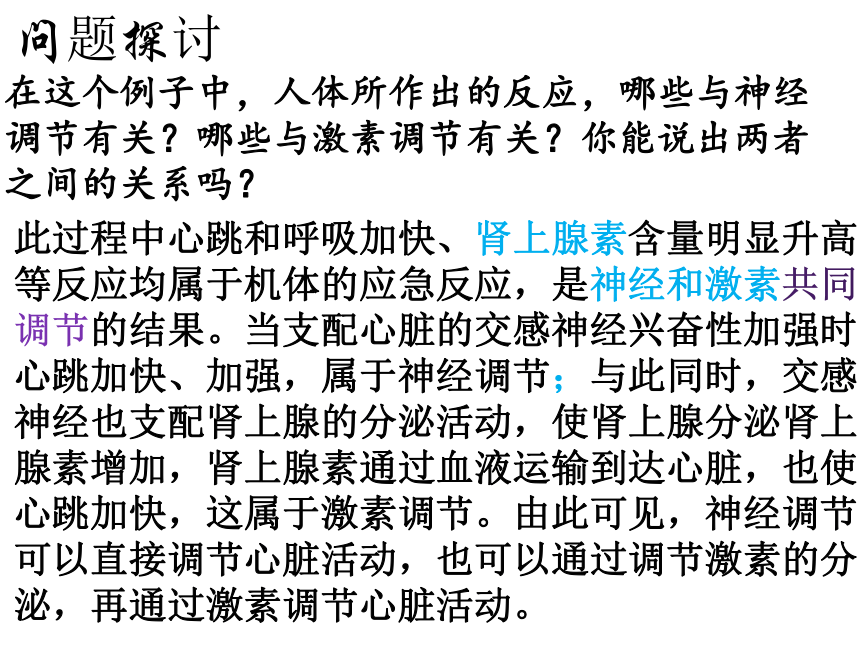 2021—2022学年高二上学期人教版必修3第2章第3节   体液调节与神经调节的关系  课件 （49张ppt）