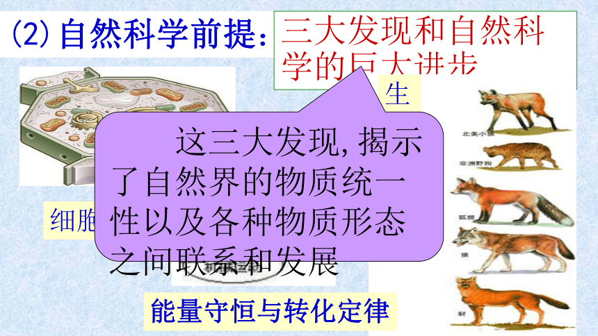 《哲学史上的伟大变革 》教学课件23张PPT