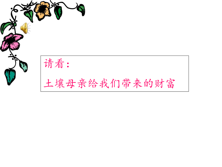 科学四年级下青岛版3.10保护土壤课件 （40张）