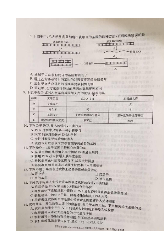 河北省邢台市2018-2019学年高二下学期第一次月考生物试题 扫描版含答案