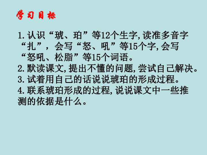 5琥珀课件21张