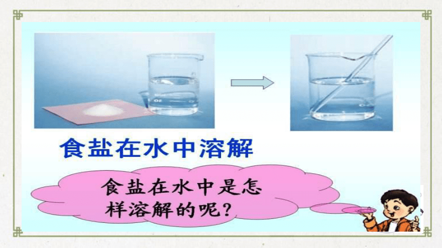 3 水能溶解哪些物质 课件（17张PPT）