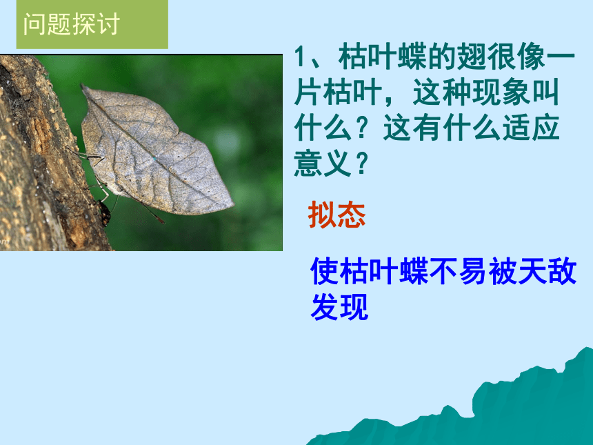 人教版高中生物必修二  7.1现代生物进化理论的由来（27张）