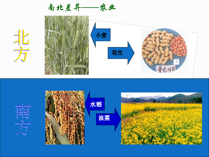 仁爱科普版八年级下册地理 6.2北方地区和南方地区 课件（33张PPT）