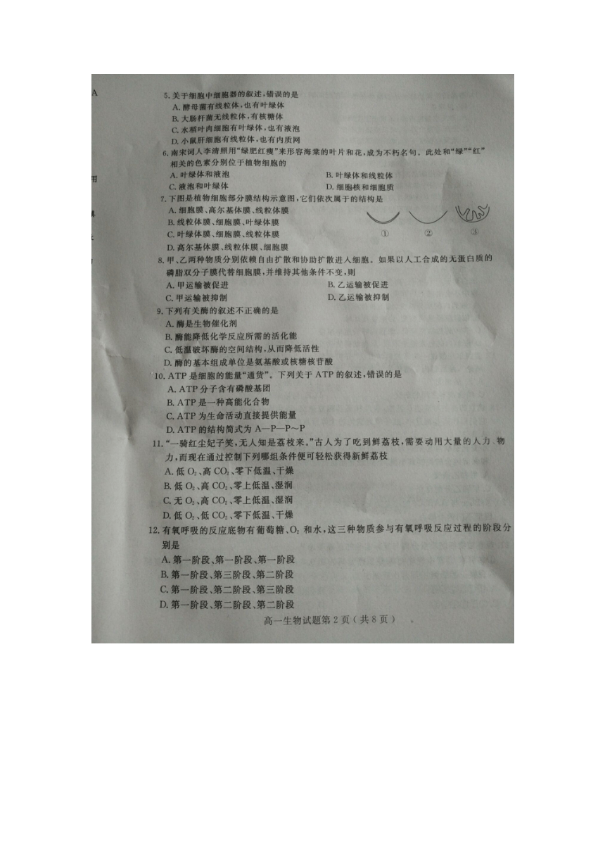 山东省济宁市2017-2018学年度下学期期末考试高一生物试题(图片版，无答案)