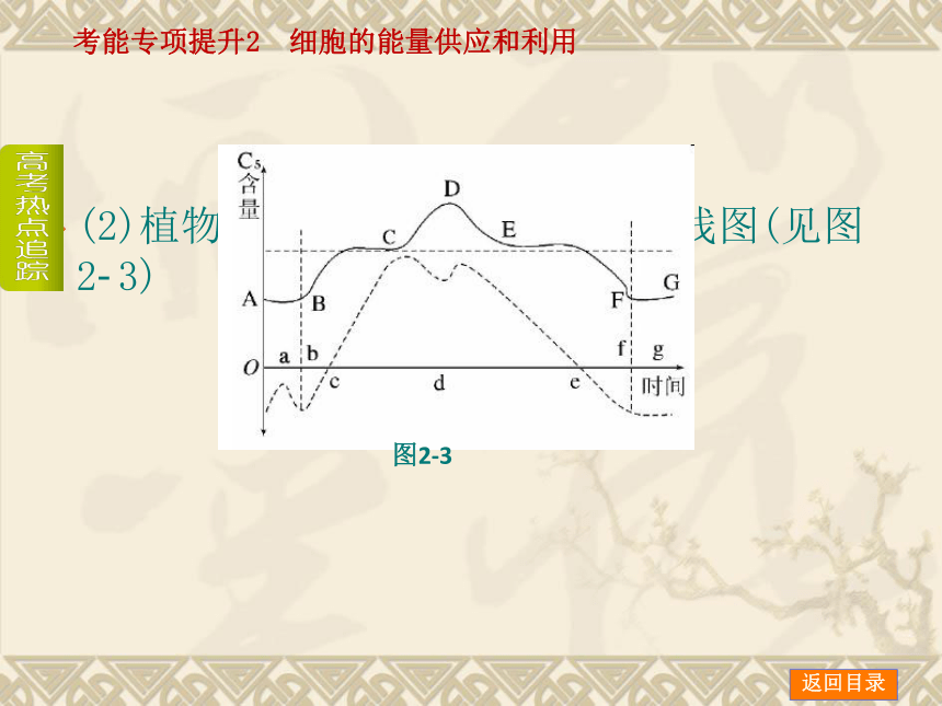 【新课标人教通用，一轮基础查漏补缺】考能专项提升2 细胞的能量供应和利用 （58ppt）