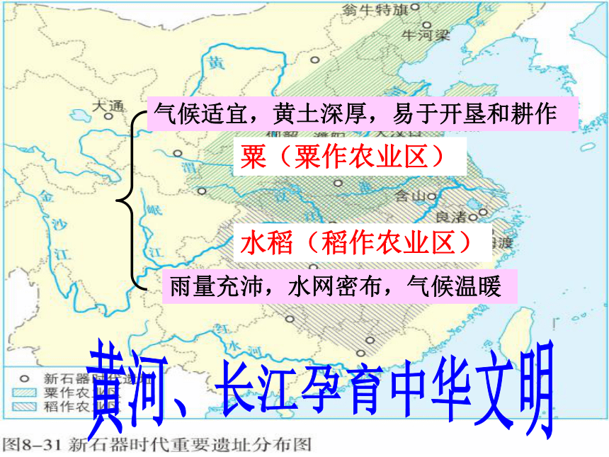 七下历史与社会复习系列：第八单元  文明探源（8.3、综合探究八）（课件）