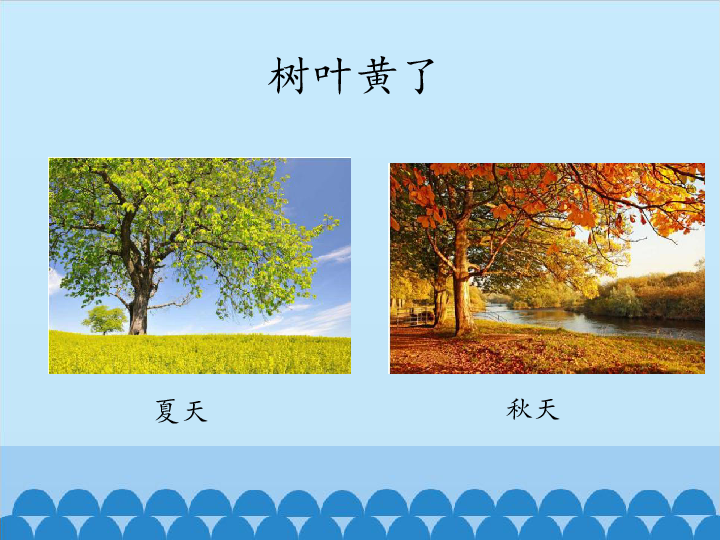 三年级上册科学课件-第一单元《怎样搜集来自大自然的信息》北 京课改版 (共12张PPT)