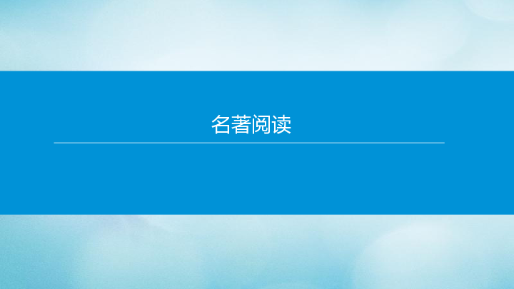 北京市2020年中考语文专题复习课件：名著阅读课件(共14张PPT)