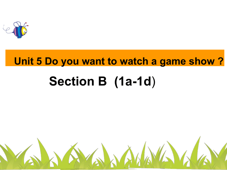 Unit 5 Do you want to watch a game show? Section B  (1a-1d) 教学课件