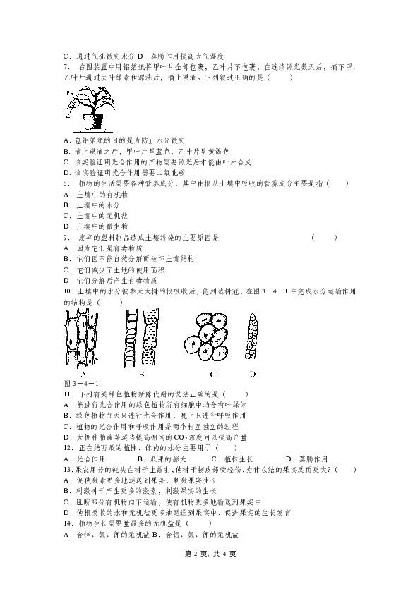 期末复习专题-浙教版八下科学第4章 植物与土壤 单元检测卷（无分值）