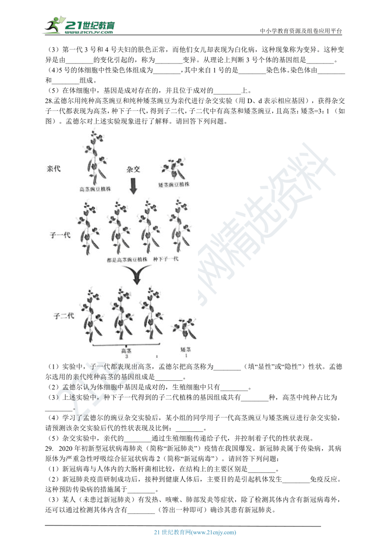 初中生物人教版八年级下册  第二章 生物的遗传与变异 章末检测（含解析）