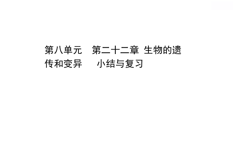 20202021学年苏教版八年级生物下册第22章生物的遗传和变异单元小结与