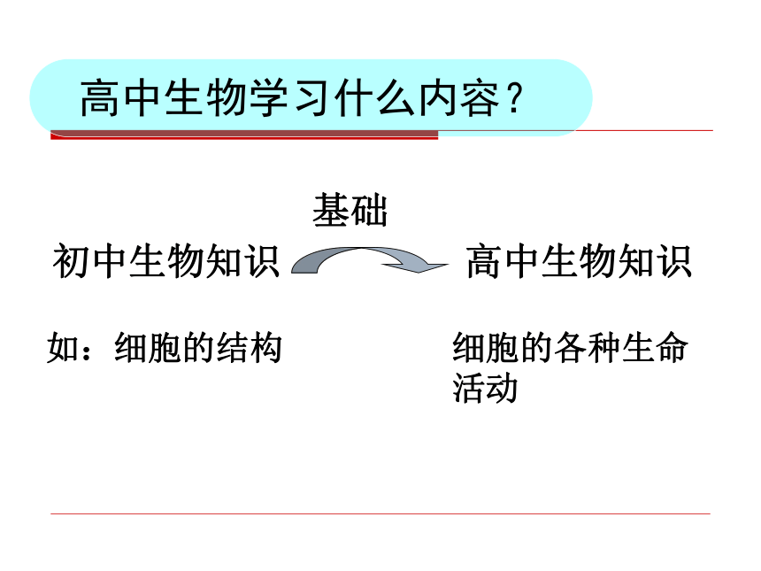 人教版(2019)必修一高中生物1-1-细胞是生命活动的基本单位(30张PPT)