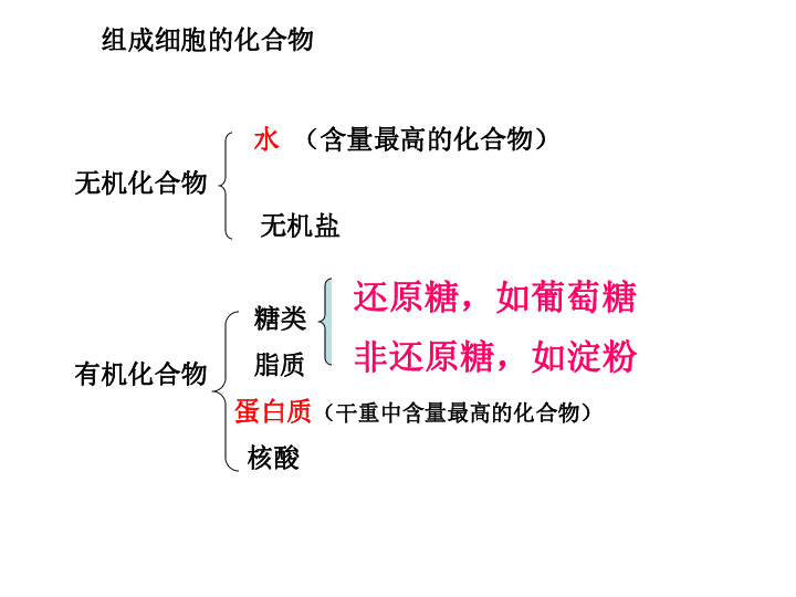 高中生物必修一课件第二章实验检测生物组织中的糖类脂肪和蛋白质共24