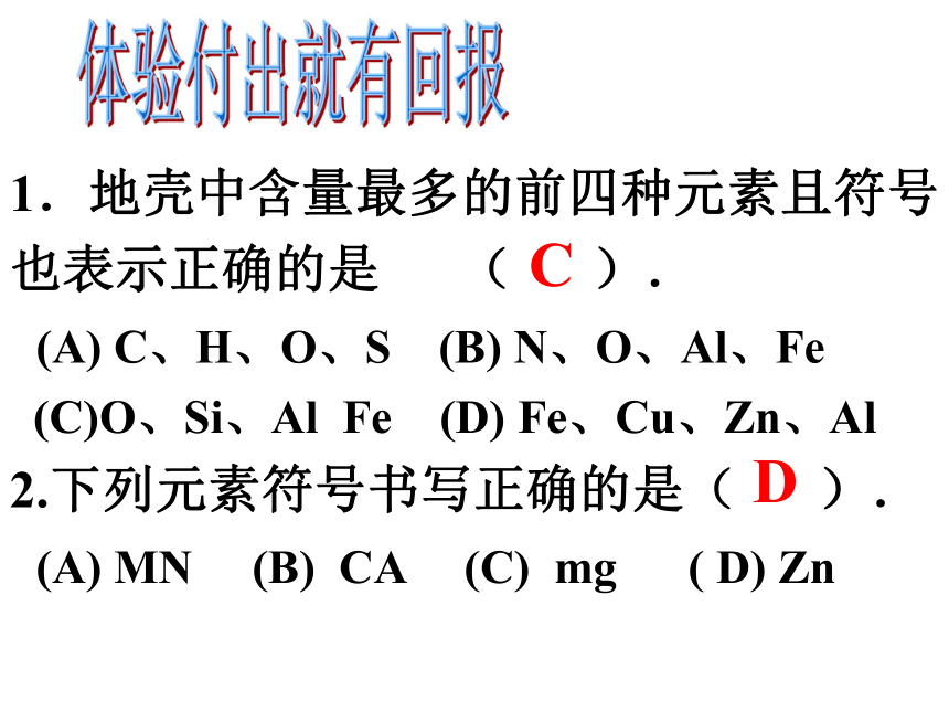 中考化学二轮复习课件 化学用语专题复习 （共22张PPT）