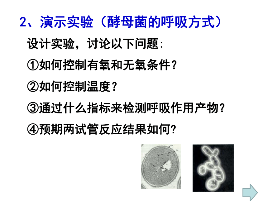 沪科版高中生物第一册第四章第三节细胞呼吸 课件（19张）+素材