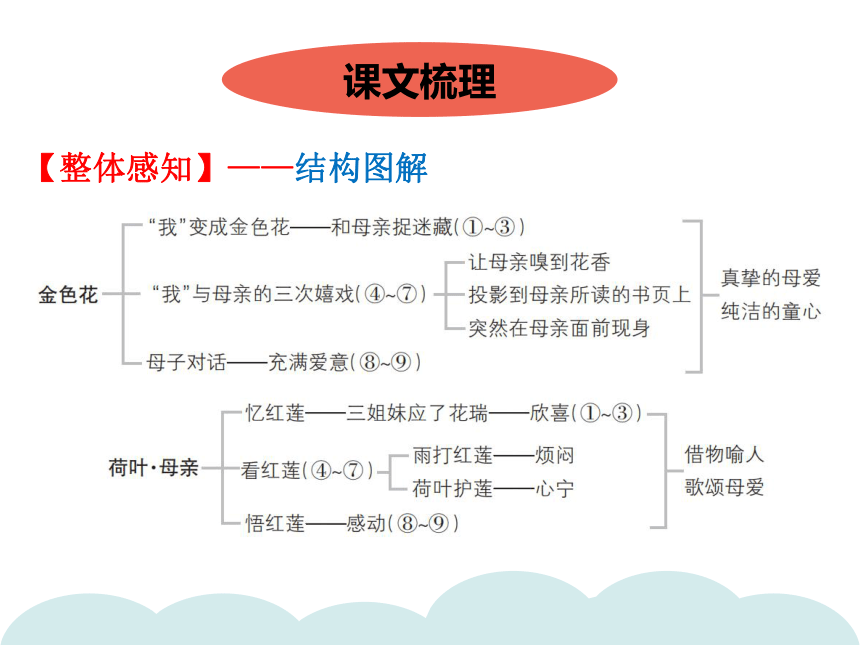 荷叶母亲思维导图简单图片