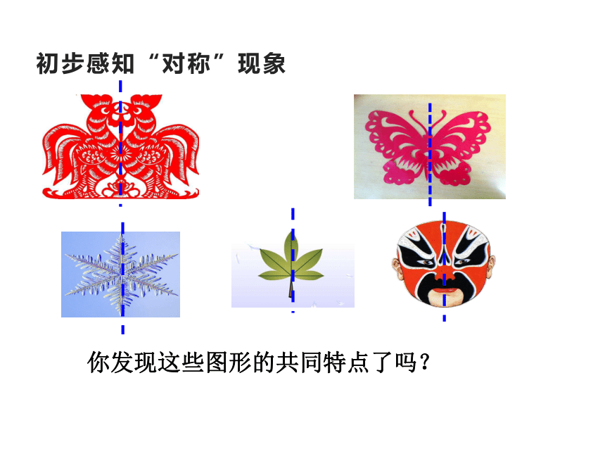 2 初步认识轴对称图形(共23张ppt)