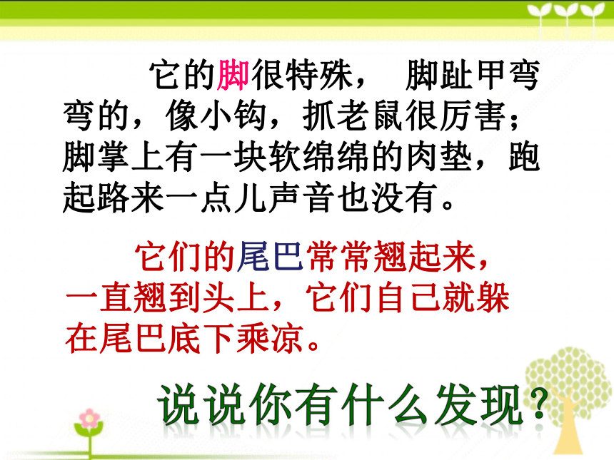 《可爱的小动物》教学课件