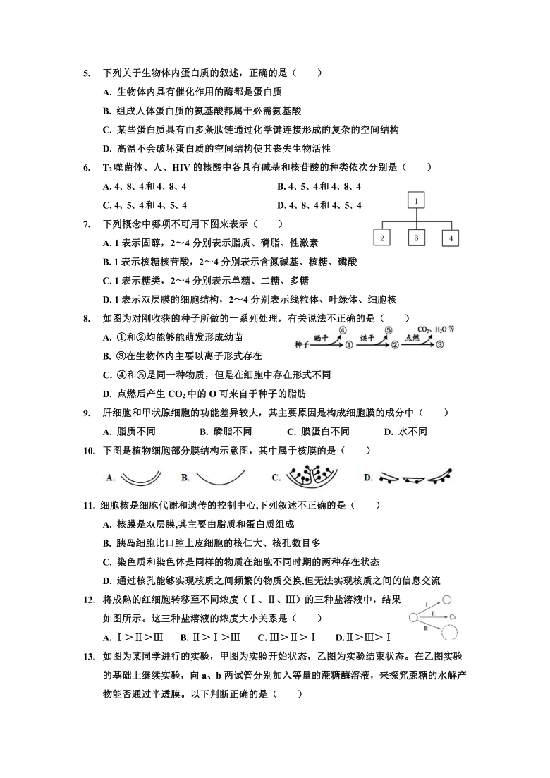 陕西省宝鸡市金台区2020-2021学年高一上学期期末考试生物试题     含答案