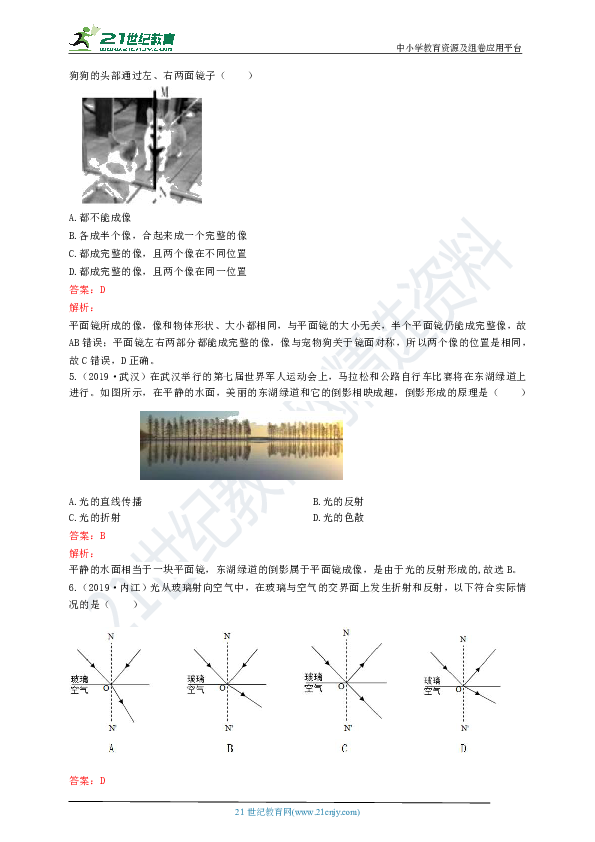 2019年中考物理真题分类汇编：第四章 光现象(含答案及解析）