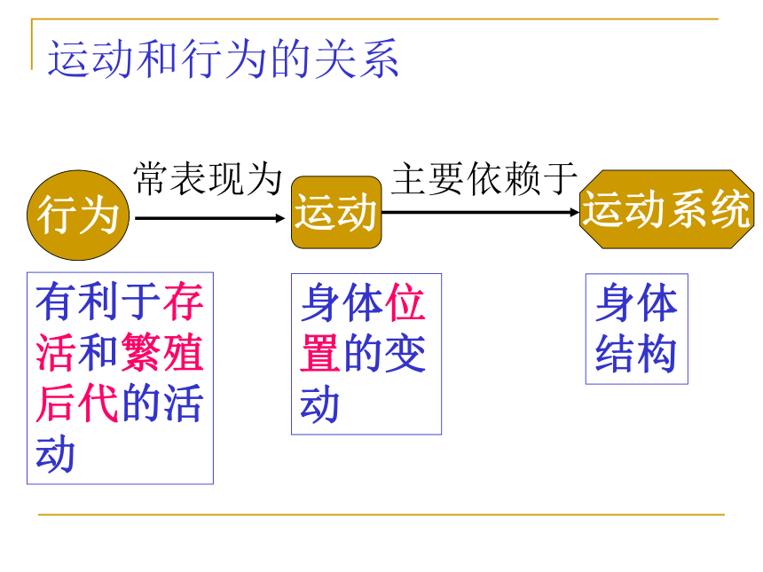 5.2.1动物的运动 课件