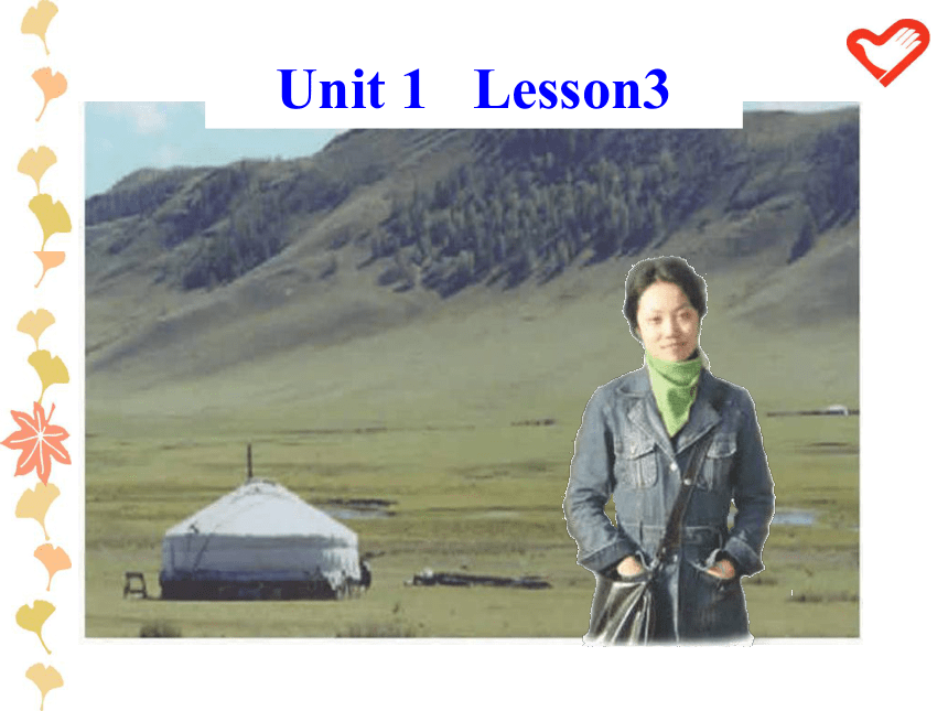 模块1 Unit 1 Lifestyles Lesson 3 Listening and speaking课件（19张）