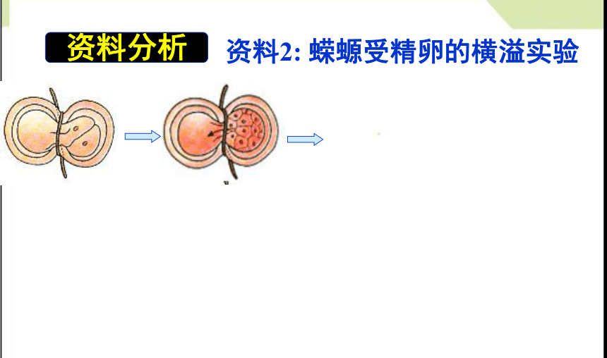 河南省洛阳市中成外国语学校人教版高中生物必修一-3.3 细胞核—系统的控制中心课件 （共35张PPT）