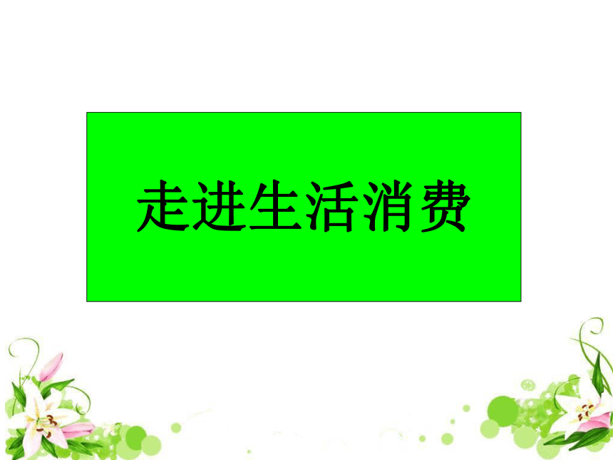 2012年全国政治赛课优质课件： 价格变动的影响