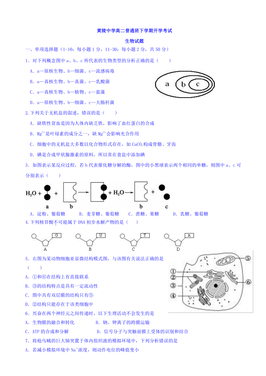 陕西省黄陵中学2016-2017学年高二下学期开学考试生物试题（普通班） Word版含答案