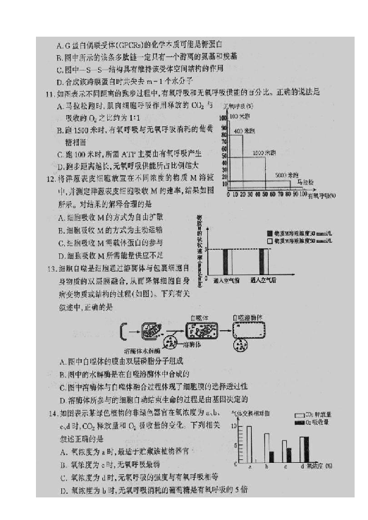 山西省太原市2019届高三上学期期末考试生物试题 扫描版