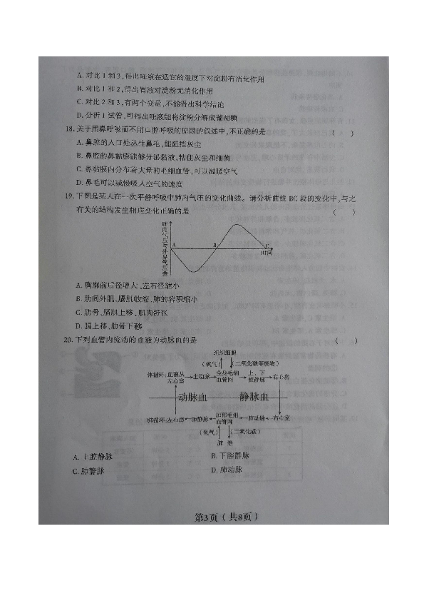 甘肃省庆阳市镇原县2018-2019学年第二学期七年级生物期中试卷（图片版 含答案）