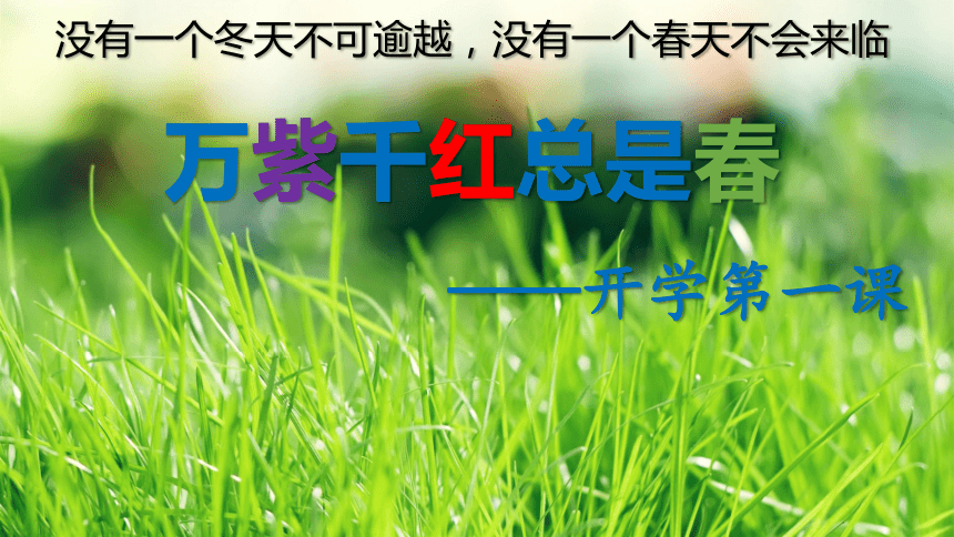 课件预览