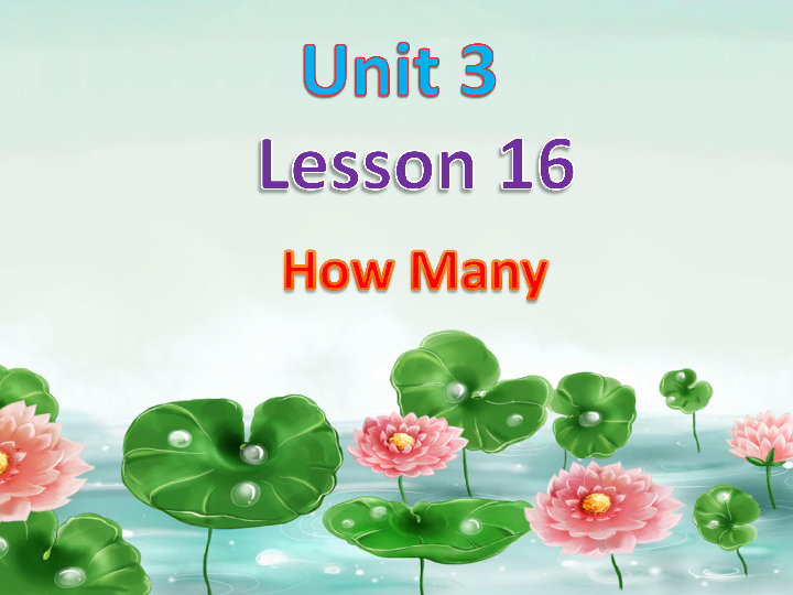 Lesson 16 How Many? 课件（共15张PPT）