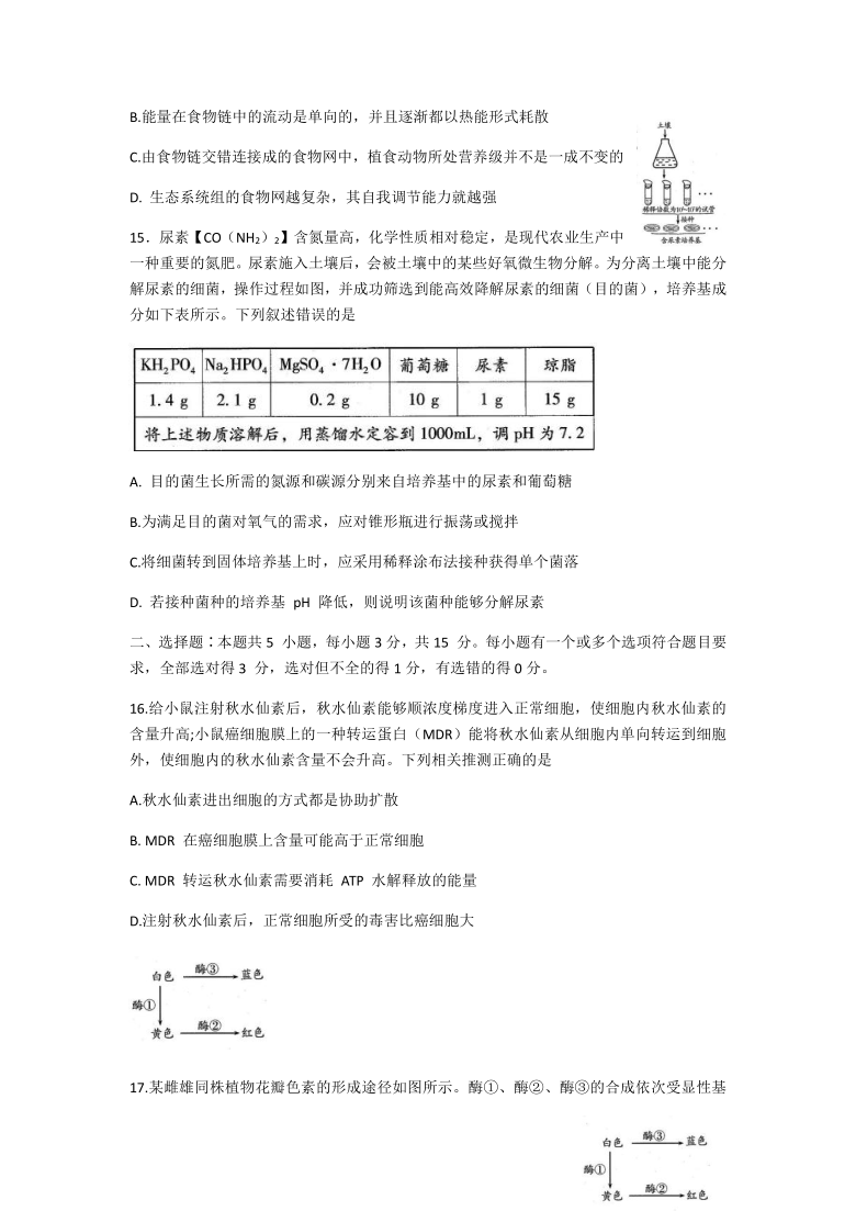 山东省潍坊市2021届高三上学期期末试题生物试卷    含答案