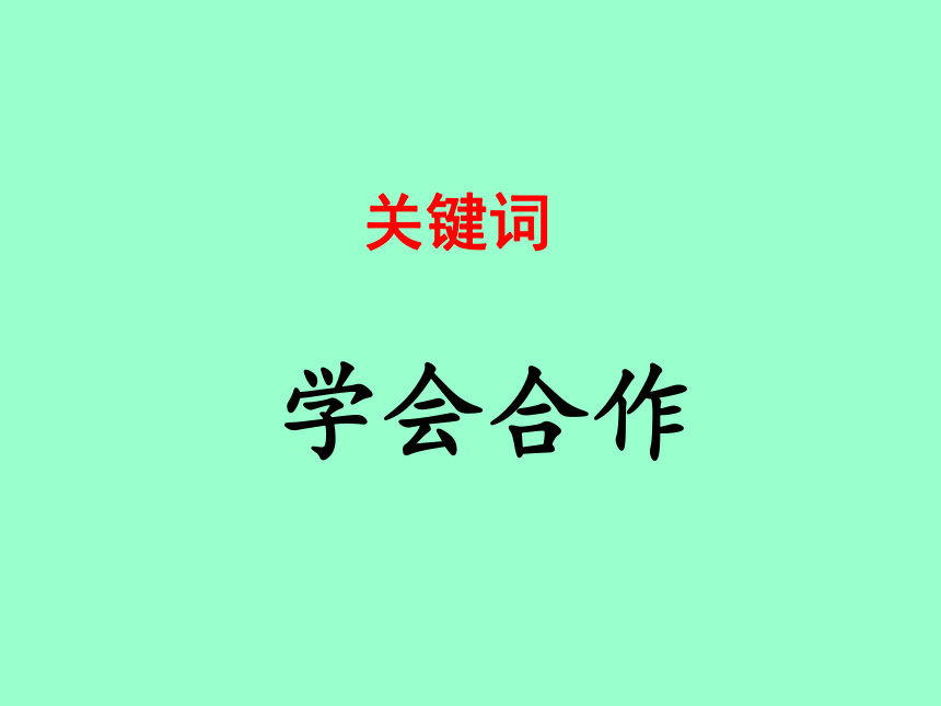 思德与社会四年级上浙教版3.4集体力量大课件