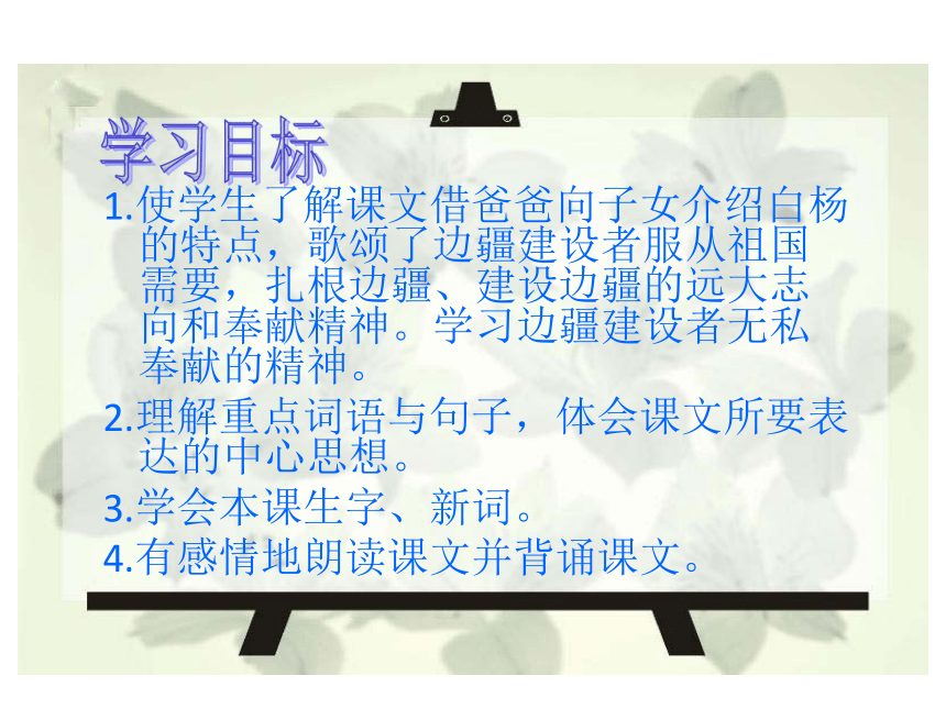（北京版）五年级语文上册课件 白杨