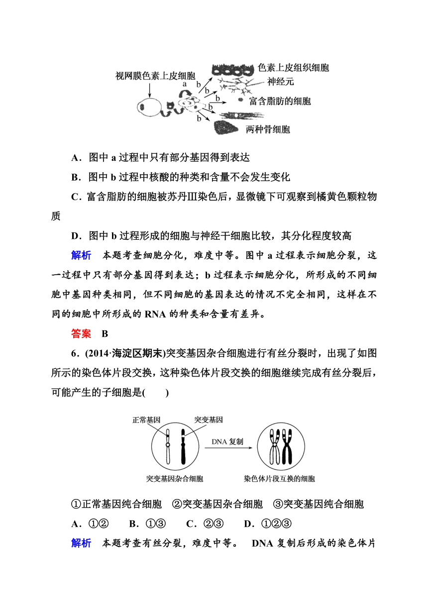 【教师原创】2015年高考生物二轮复习热点专练：细胞的生命历程含减数分裂（含解析）