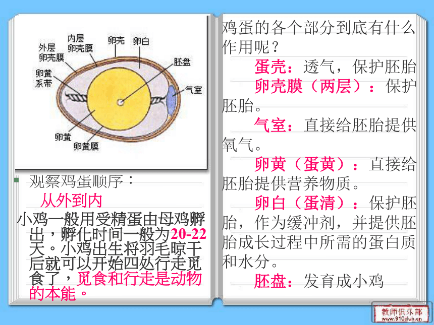 湘版四年级科学《翩翩雌与雄》课件