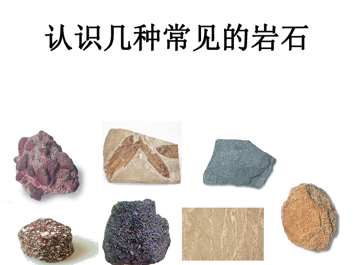 4.2认识几种常见的岩石   课件（32张PPT）