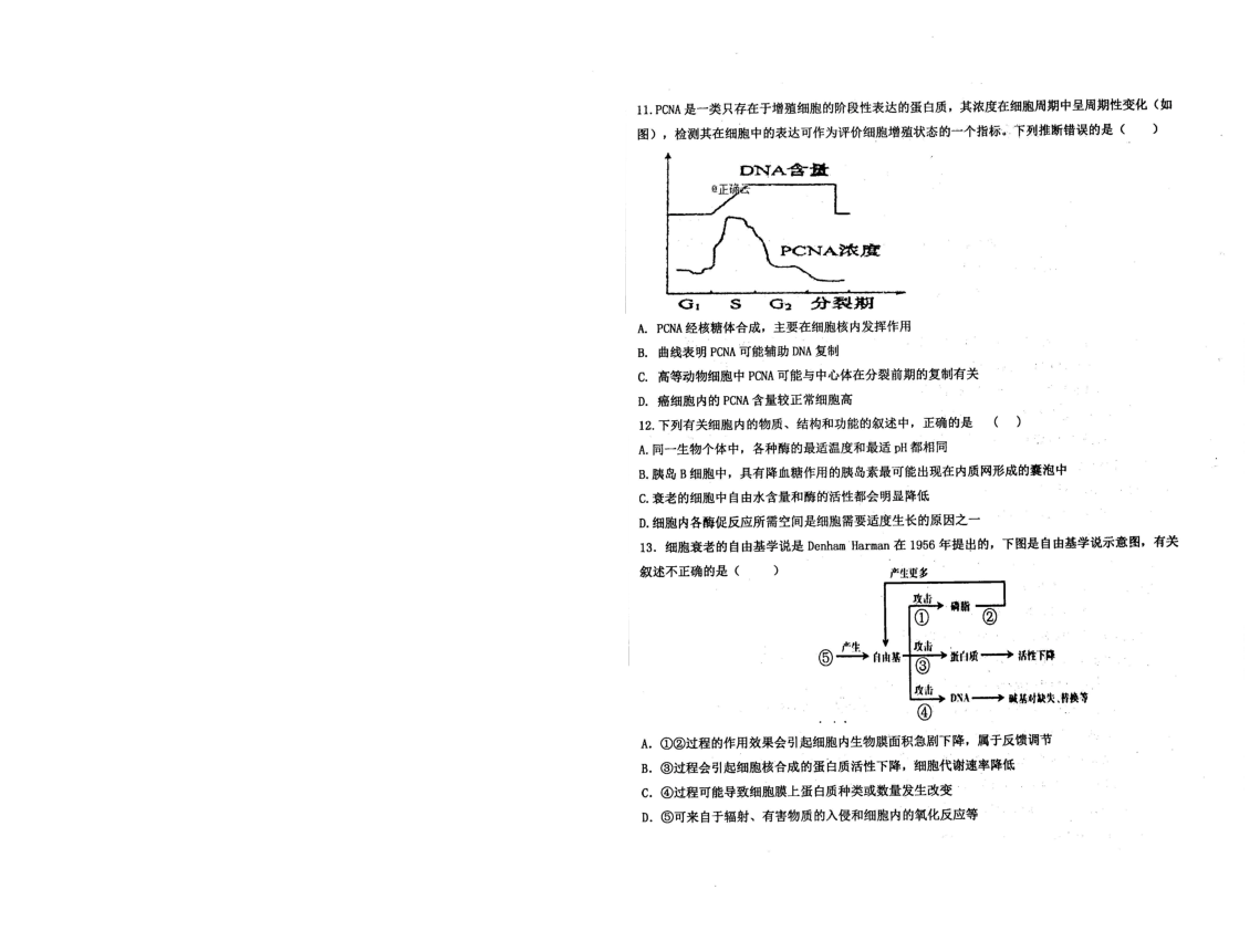 河北省衡水中学2020届高三上学期第四次调研考试生物试题