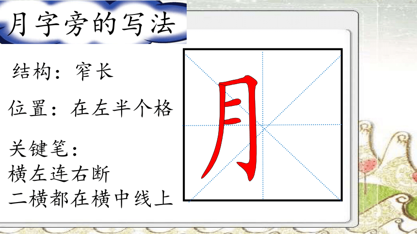 北师大版书法练习指导3月字旁课件12张ppt